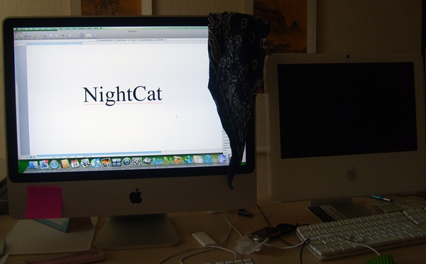 imacnighcat