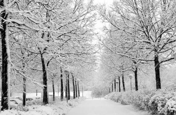 Winter by marquis73 Winter by marquis73