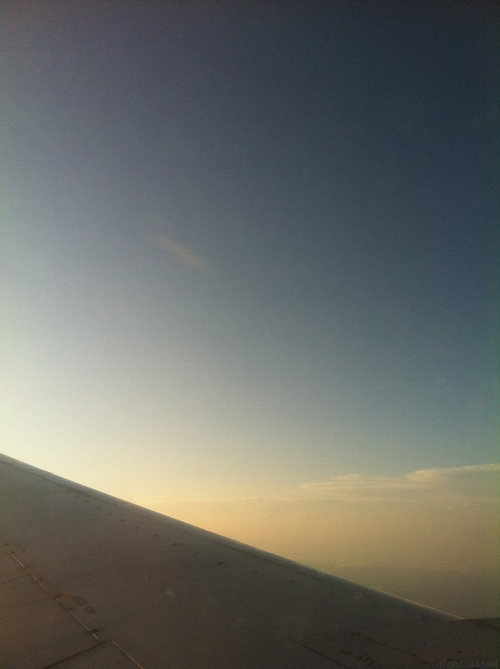 Wings